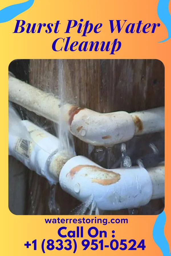 Burst Pipe Water Cleanup in Asbury, IA