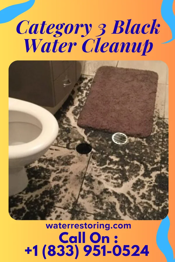 Category 3 Black Water Cleanup in Asbury, IA