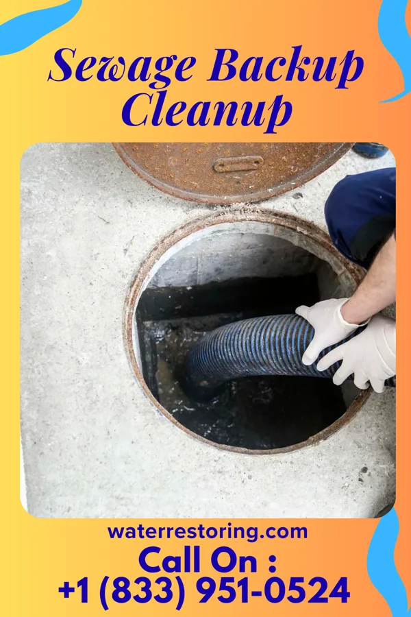 Sewage Backup Cleanup in Asbury, IA