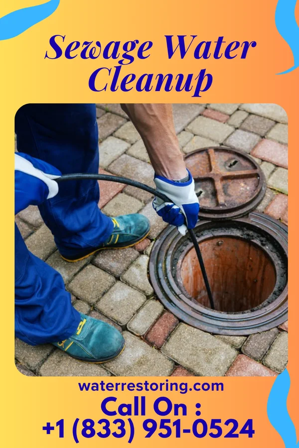 Sewage Water Cleanup in Asbury, IA