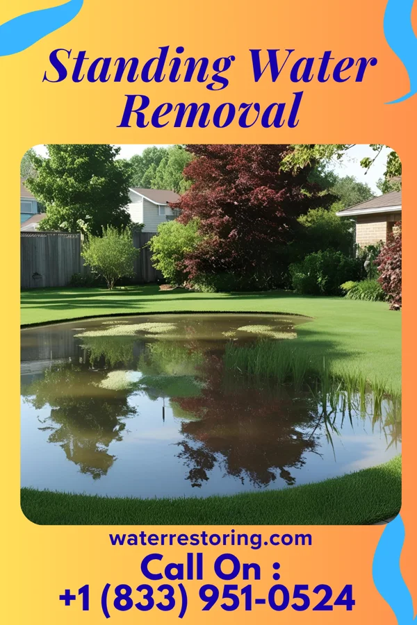 Standing Water Removal in Asbury, IA